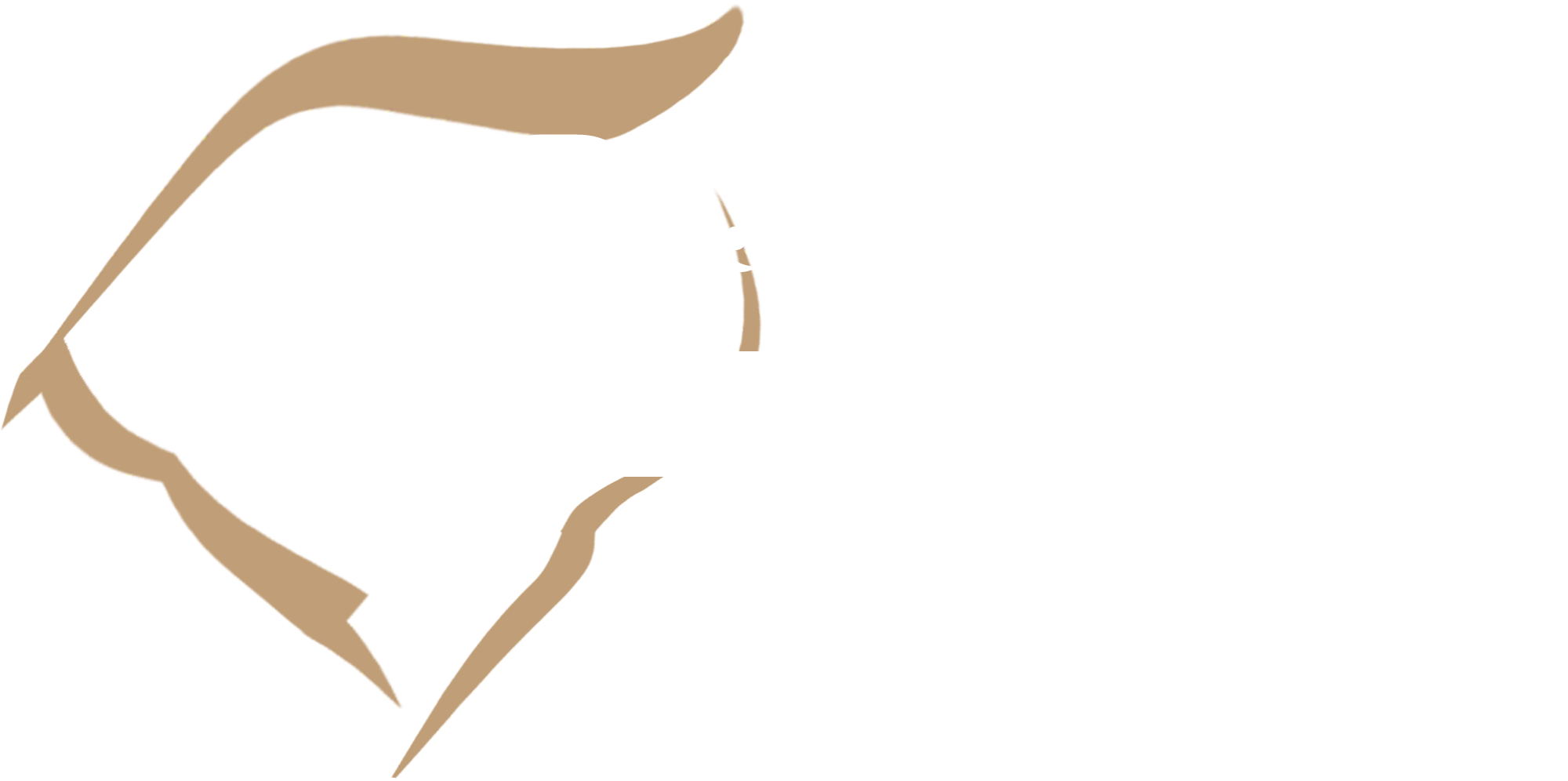 Cirurgia Plástica Porto Alegre logo